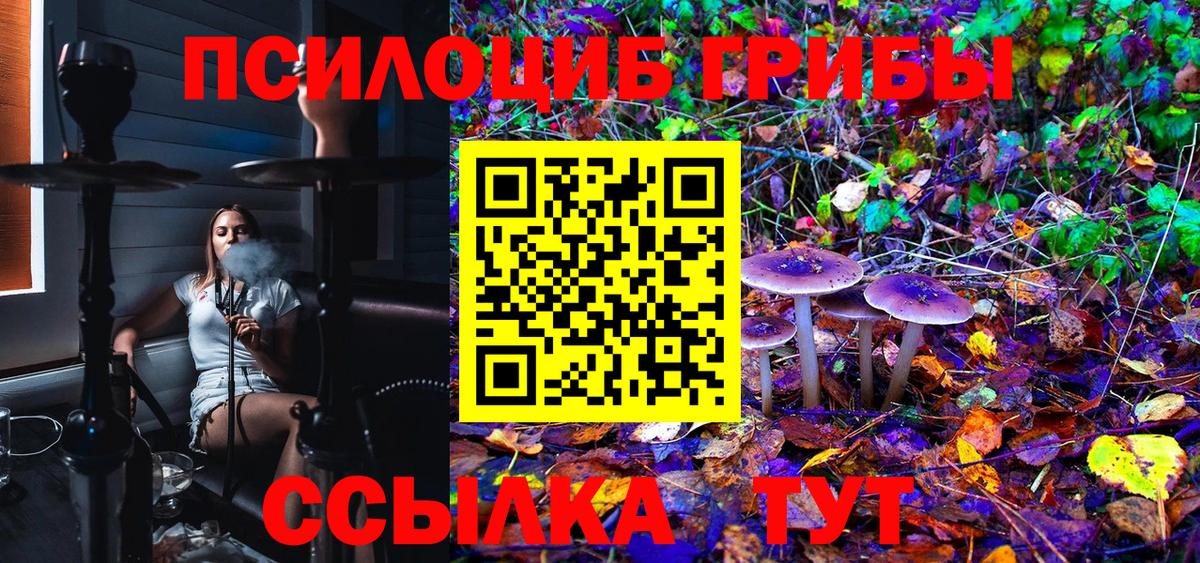 Псилоцибиновые грибы MAGIC MUSHROOMS Москва