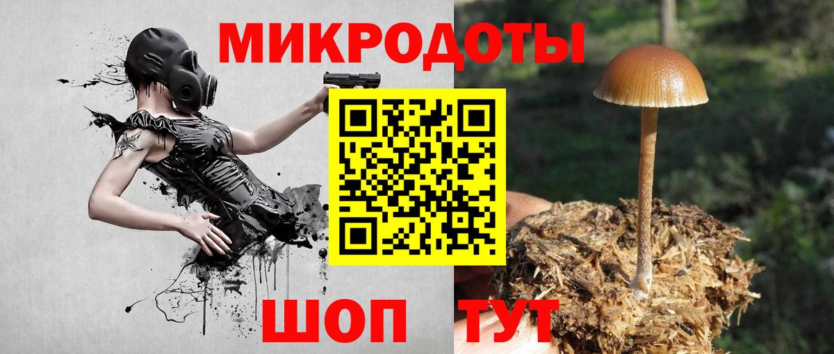 Москва  Псилоцибиновые грибы Psilocybe  Вход с VPN 